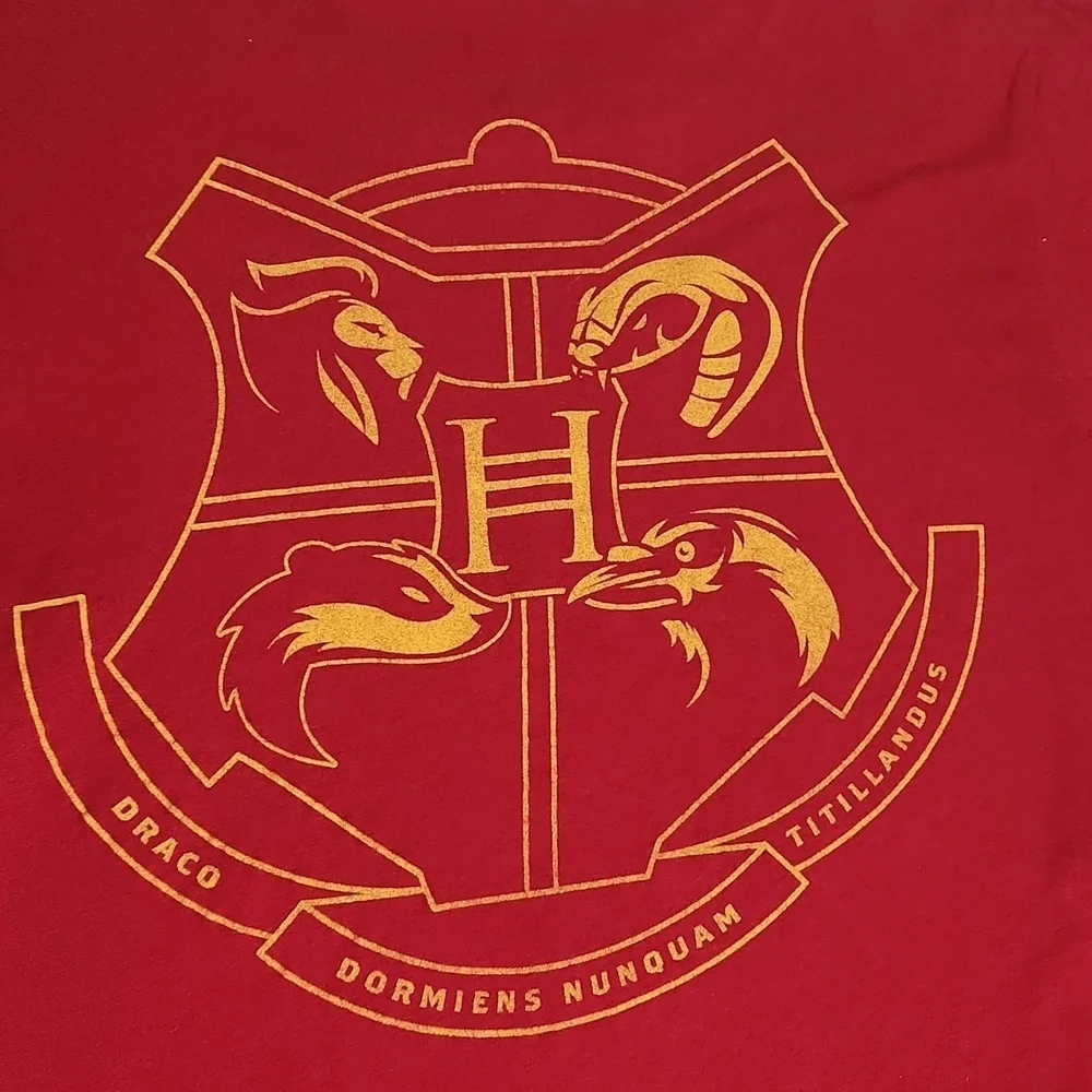 Harry Potter T-shirt Top Boys L - Wizarding world of Harry Potter Gryffindor